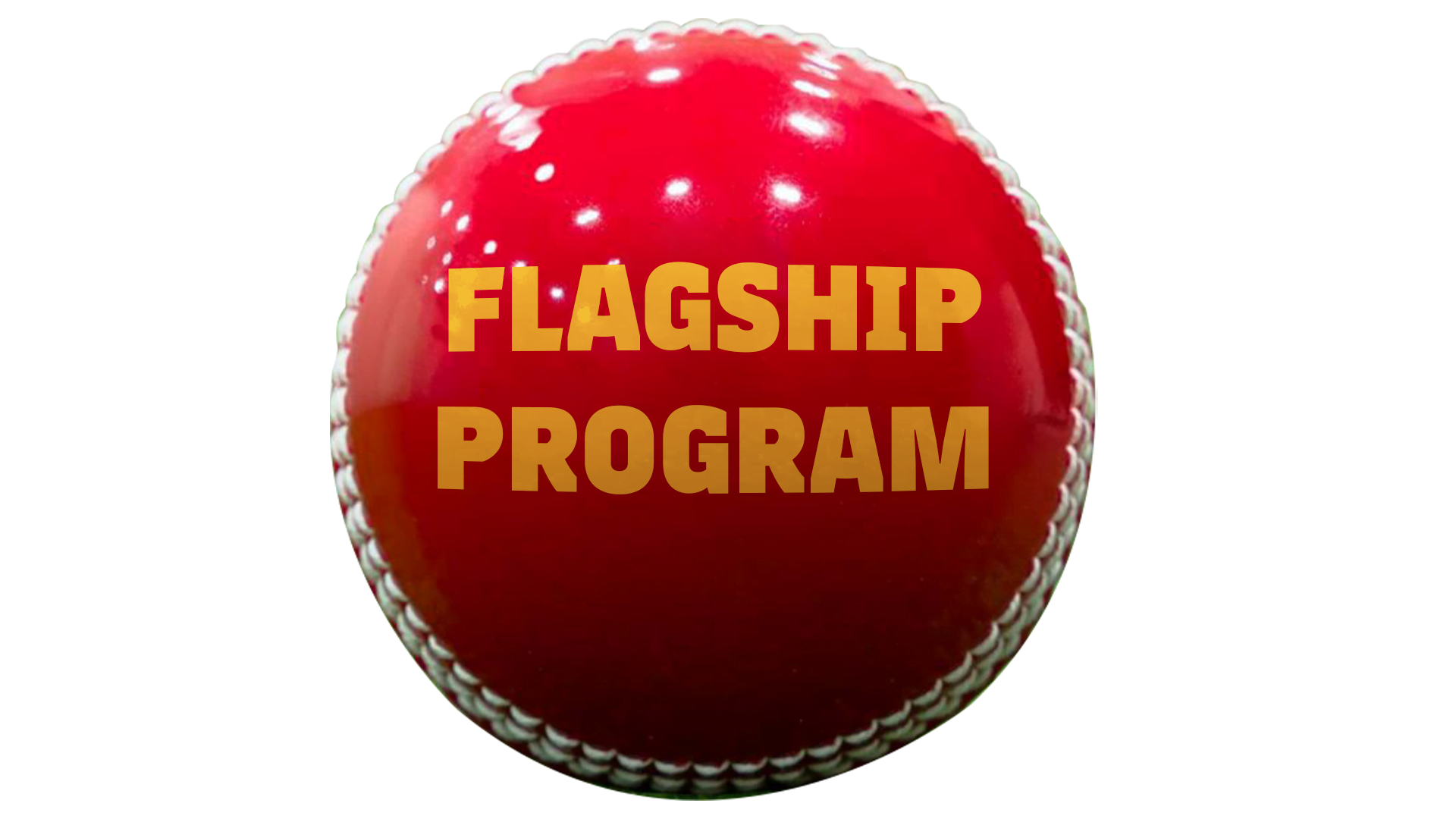 Delhi Capitals Cricket Academy is renowned as one of the top cricket academies in the region, offering the best cricket training and coaching programs in Gurgaon. As a leading cricket development academy, Delhi Capitals Academy provides professional cricket coaching near me, catering to aspiring cricketers of all ages and skill levels. Located in Gurugram, Delhi Capitals Cricket Academy serves as a premier cricket training center, fostering the growth and development of young talents. With a strong emphasis on inclusivity, the academy offers specialized cricket programs for kids and girls, ensuring equal opportunities for all. As the best cricket academy in Gurgaon, Delhi Capitals Cricket Academy is committed to providing a comprehensive training experience, focusing on skill enhancement, game strategy, and physical fitness. With a team of experienced coaches, state-of-the-art facilities, and a nurturing environment, the academy is the ideal choice for aspiring cricketers seeking to unlock their potential. Join Delhi Capitals Cricket Academy and embark on an enriching journey of cricketing excellence and personal growth.